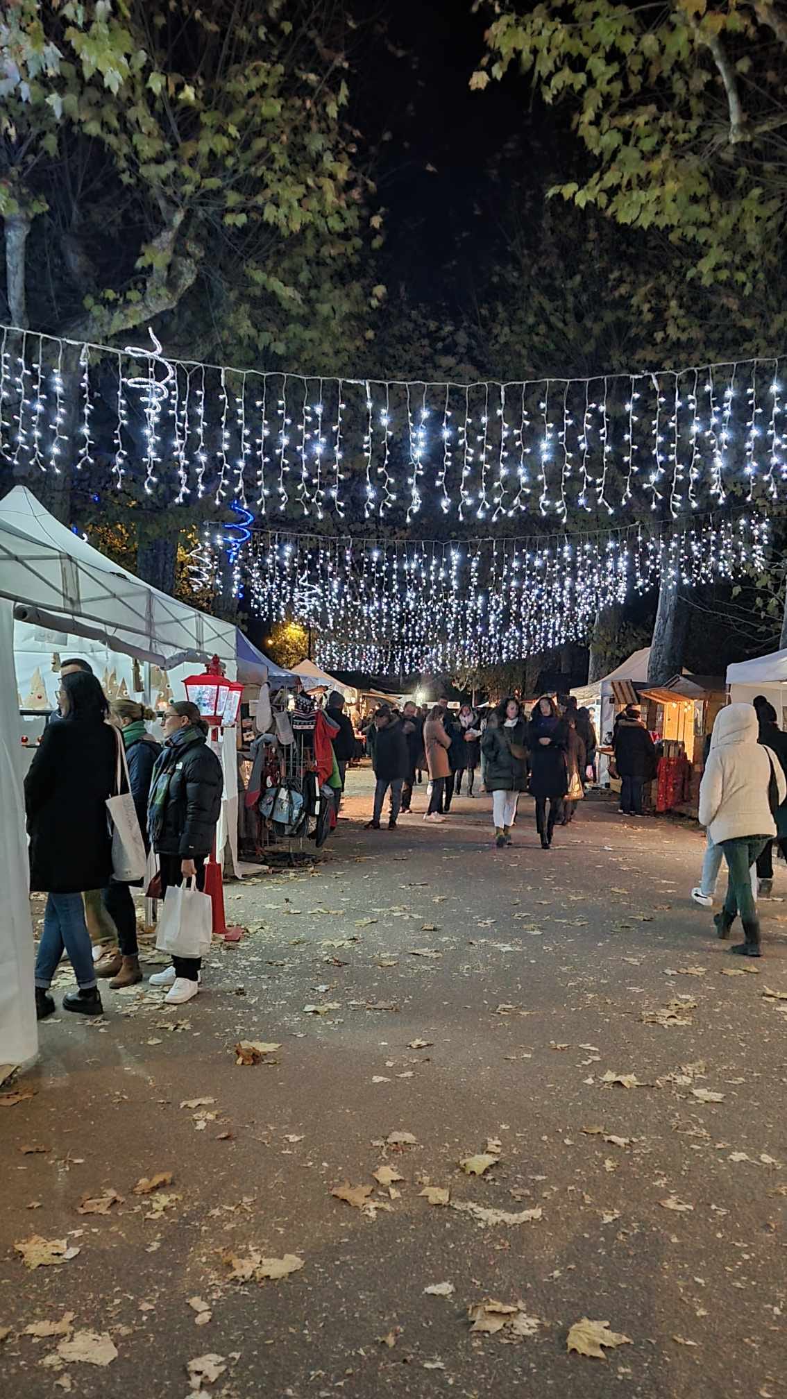 Marché de Noël 2026